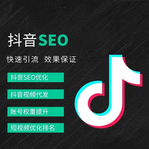 河西区抖音广告